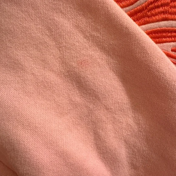 PINK PALM PUFF “Everything Comes in Waves” Oversized Hoodie - VGUC - Size XS - Picture 4 of 5